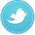 twitter-icon 